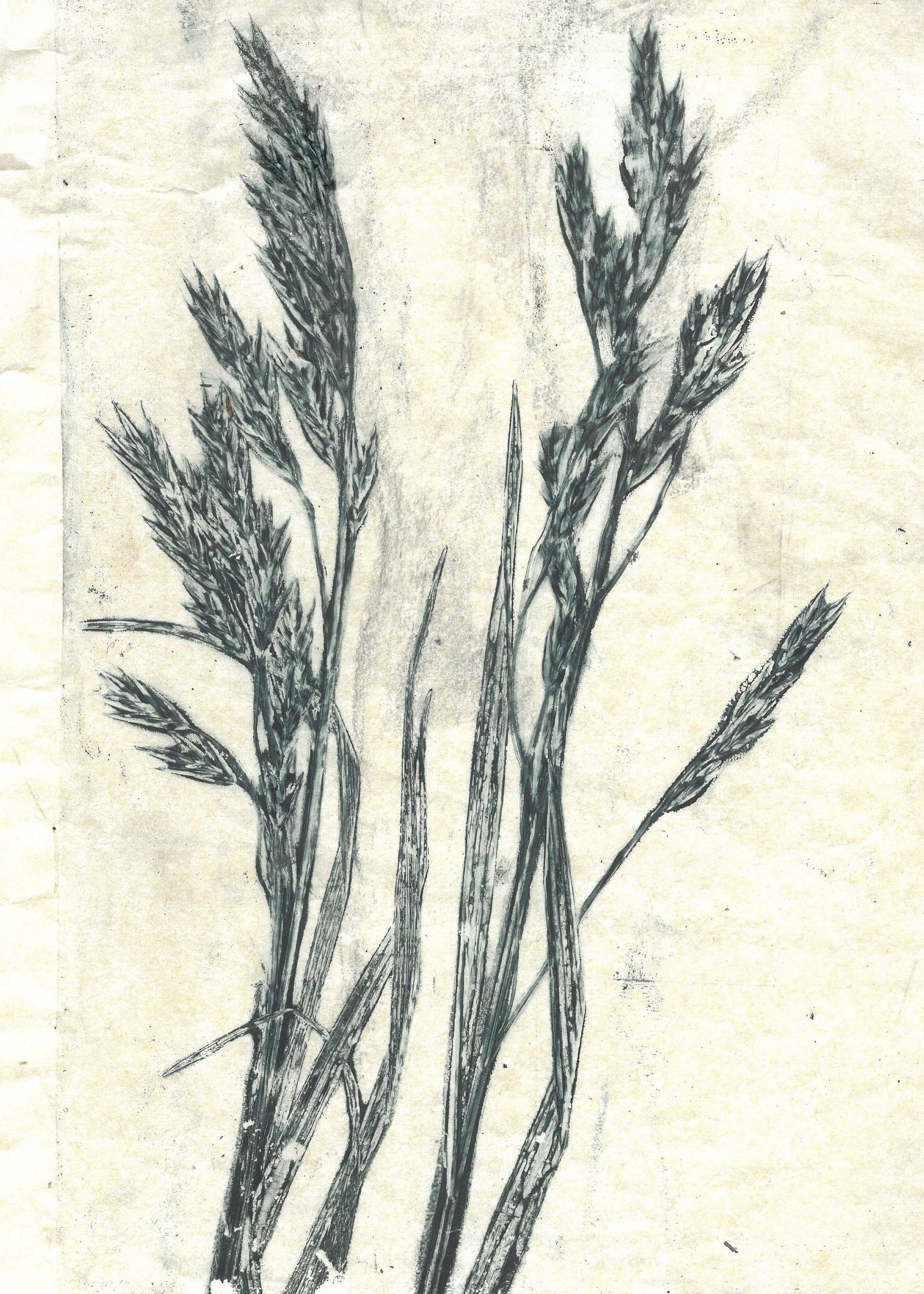 Botanical Printmaking